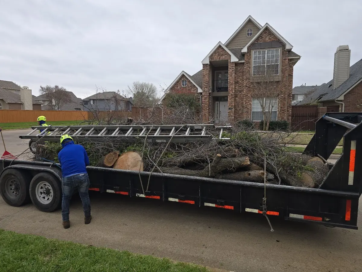 Expert Tree Fertilization with proper safety equipment in Idlewild